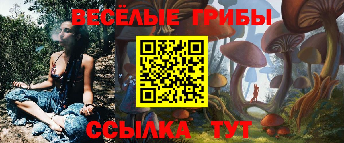 Галлюциногенные грибы мухоморы  Галлюциногенные грибы GOLDEN TEACHER  Вход с VPN  Сочи 