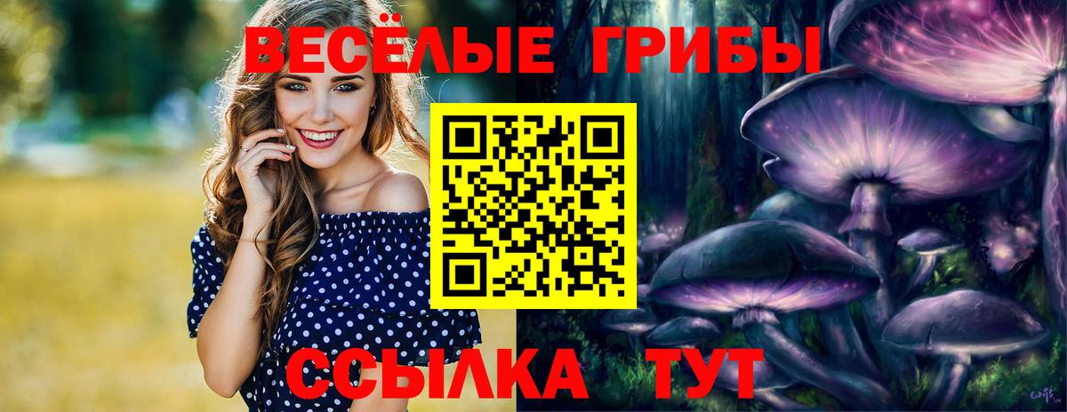 Псилоцибиновые грибы Psilocybine cubensis Сочи